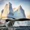 Amazing Wilderness in Labrador
